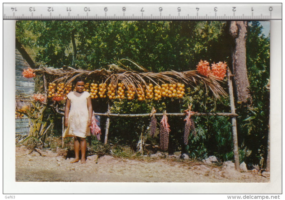 Jamaica, B. W. I. - Little Fruit Vendor - Jamaïque