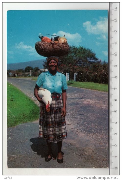 Jamaica, W. I. - Returning From Market - Jamaïque