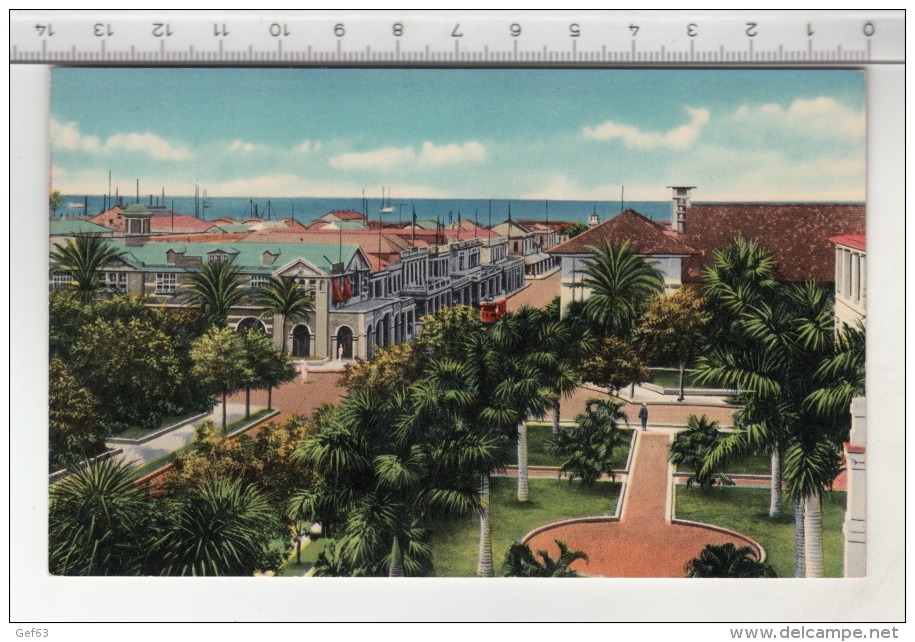 Jamaica, W. I. - Commercial Kingston. The Heart Of The Metropolis Shaded By Royal Palms And Other Trees - Jamaïque