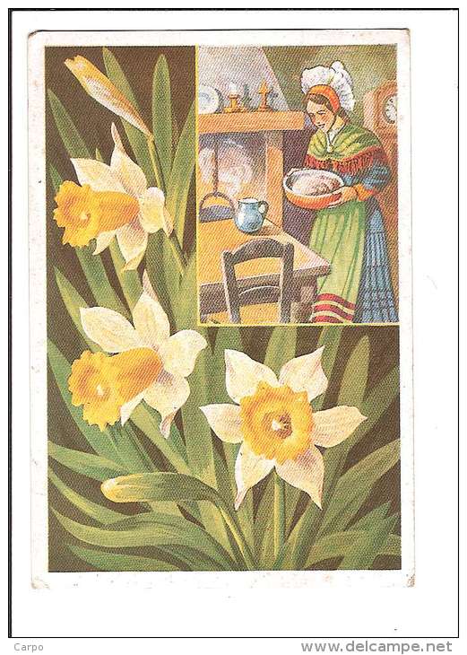 FLEURS DES ALPES. - N°6. Jonquilles. (Fleur, Costumes, Illustrateur) - Autres & Non Classés