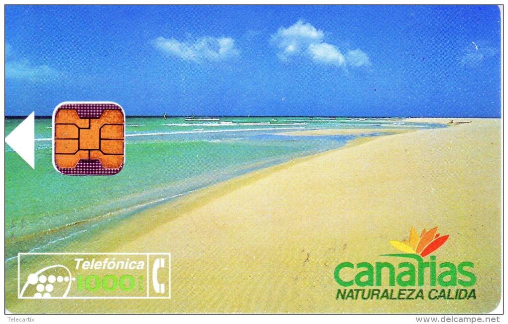 ***Télécarte Telefonica CANARIAS NATURALEZA CALIDA   1000PTA Vide  TTB  A Saisir *** - Collections