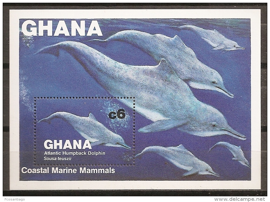 DELFINES - GHANA 1983 - Yvert #H98 - MNH ** - Delfines