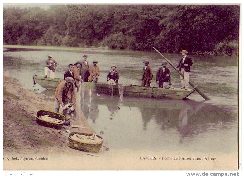 Landes    40      Pêche A L'alose Dans L'Adour                   (voir Scan) - Andere & Zonder Classificatie