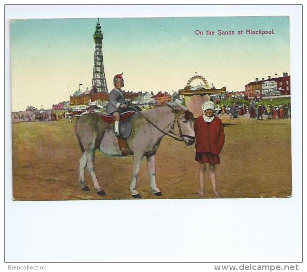 Royaume Uni .United Kingdom.Blackpool. The Donkey On The Sea Side - Blackpool