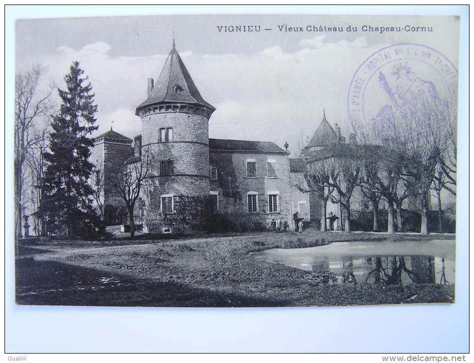 Cpa, Très Belle Vue Animée, Vignieu, Vieux Château Du Chapeau Cornu - Autres & Non Classés