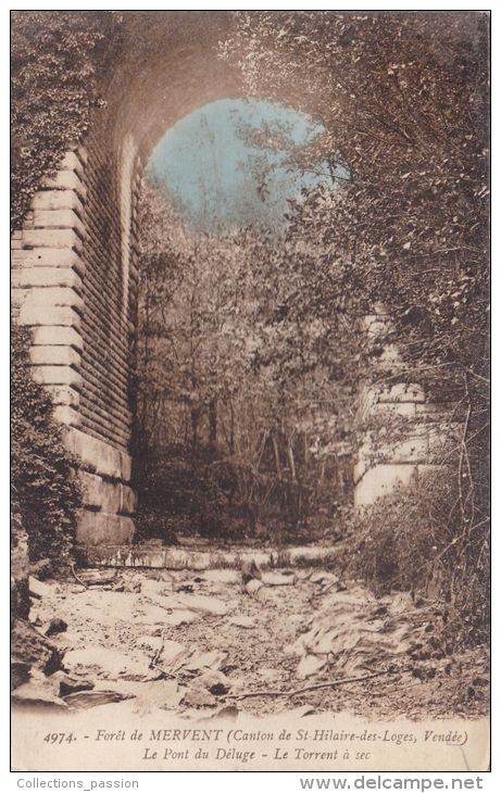 Cp , 85 , La Forêt De MERVENT , Le Pont Du Déluge , Le Torrent à Sec - Saint Hilaire Des Loges