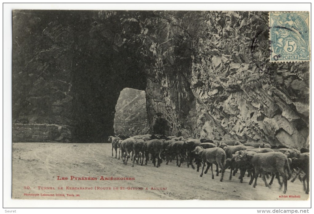 Transhumance D'un Troupeu De Moutons.TUNNEL De KERCABANAC .Route De St Girons à Aulus - Viehzucht