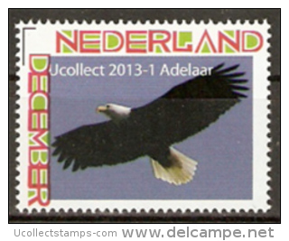 Nederland  2012  Ucollect Natuur Adelaar Vogel  Oiseau Bird   Postfris/mnh/neuf - Nuovi