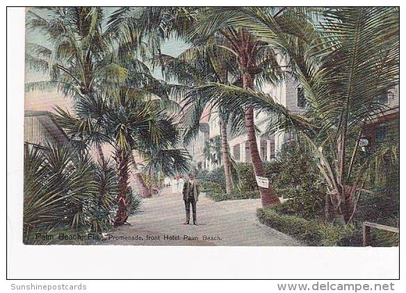 Florida Palm Beach Promenade In Front Of Hotel Palm Beach - Palm Beach