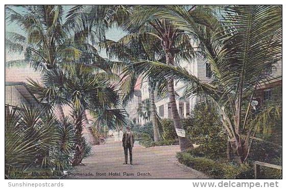 Florida Palm Beach Promenade In Front Of Hotel Palm Beach - Palm Beach