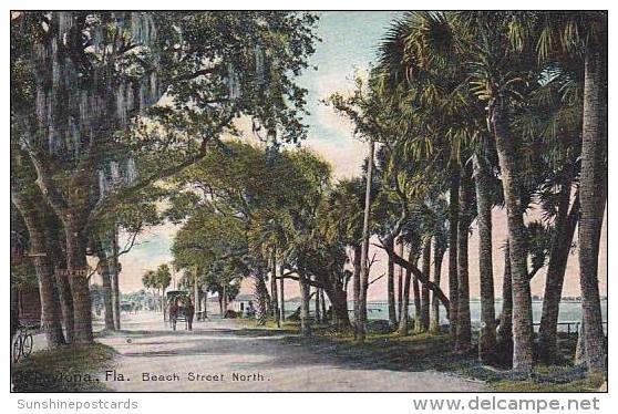 Florida Daytona Beach Street North 1909 - Daytona