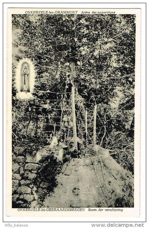 "Onkerzele - Arbre Des Apparitions / Boom Der Verschijning" - Geraardsbergen