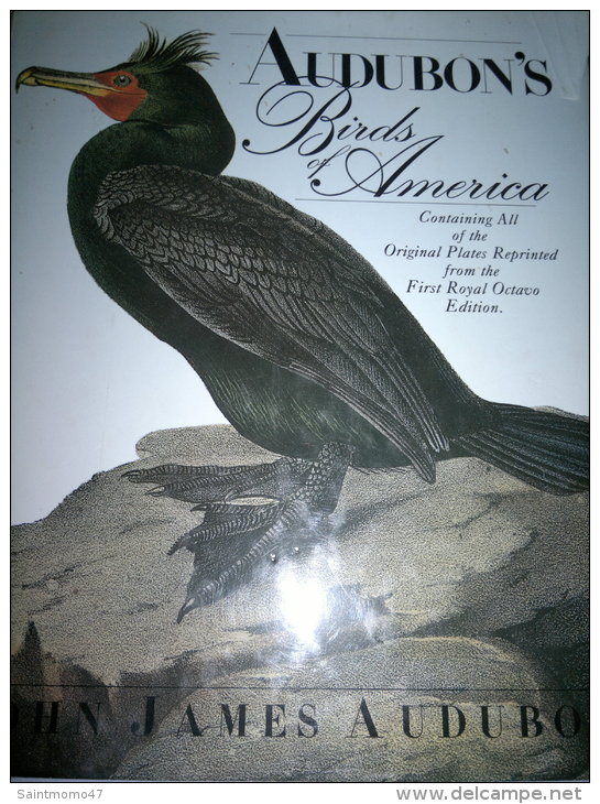 AUDUBON'S BIRDS OF AMERICA - Culture