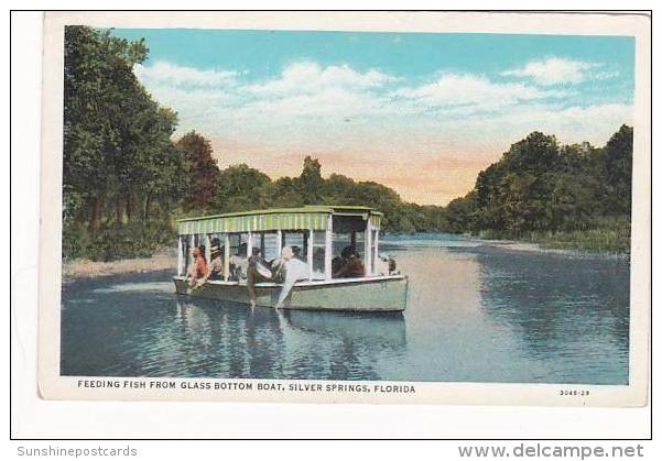 Florida Silver Springs Feeding Fish From Glass Bottom Boat - Silver Springs