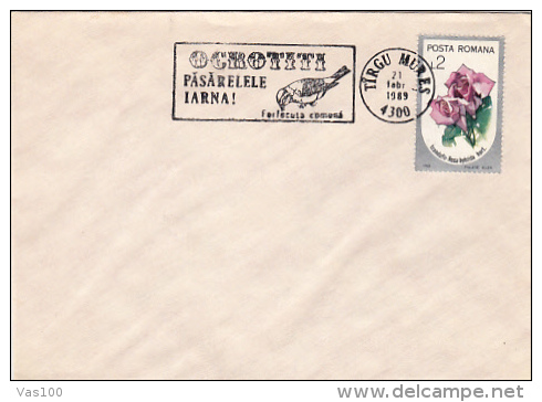 BIRDS, SWALLOW, ROSSES, SPECIASL POSTMARK AND STAMP ON COVER, 1989, ROMANIA - Hirondelles