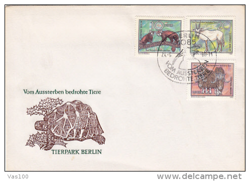 TURTLES, GOATS, FOX, BIRDS, 2X SPECIAL COVERS, 2011, ROMANIA - Turtles