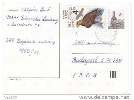 EAGLE, OLD CITY RUINS, PC STATIONERY, ENTIERE POSTAUX, 1996, SLOVAKIA - Cartes Postales