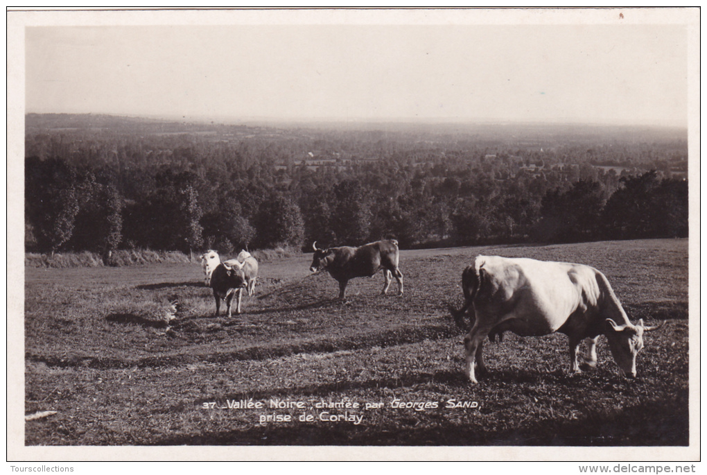 CPA 36 @ MONTIPOURET @ Vallée Noire Prise De Corlay @ Chantée Par Georges Sand - Vaches Au Paturage - Autres & Non Classés