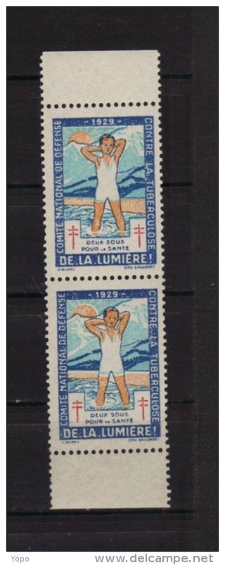 2 Timbres Vignettes 1929 Antituberculeux ( Neuf Avec Gomme) - Tuberkulose-Serien