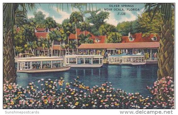 Florida Silver Springs Glass Bottom Boats - Silver Springs