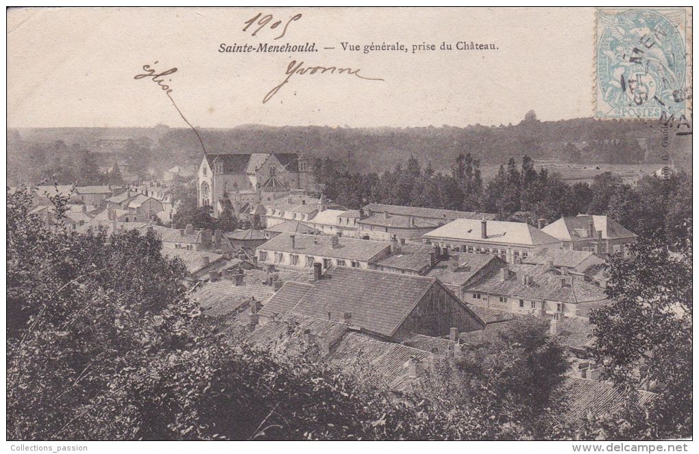 Cp , 51 , SAINTE-MENEHOULD , Vue Générale Prise Du Château - Sainte-Menehould