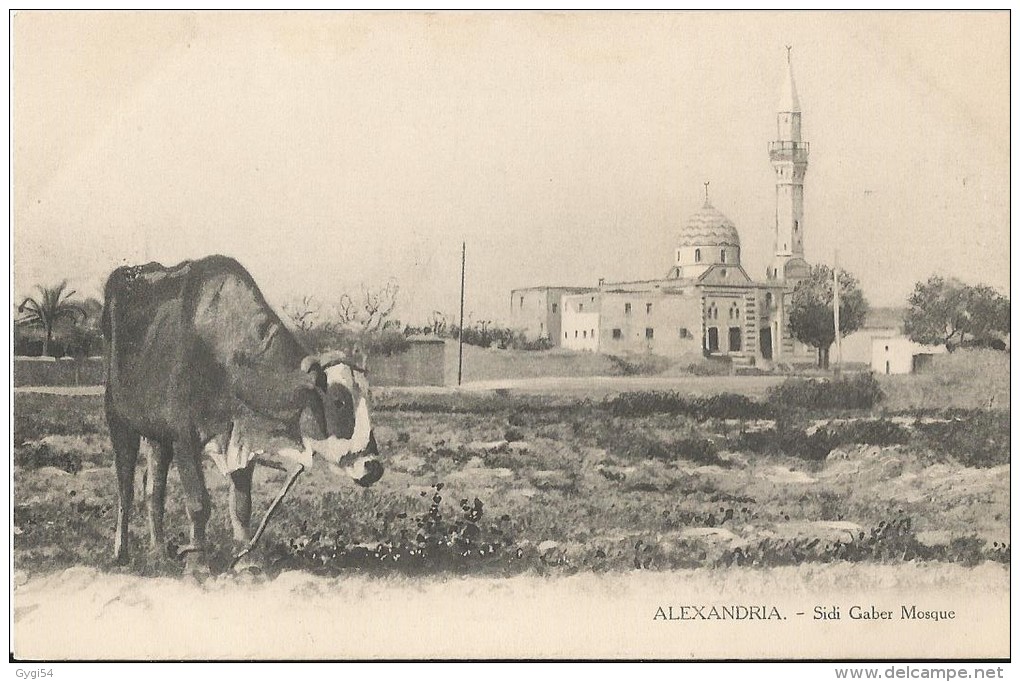 Alexandria  Sidi Gaber Mosquée CPA 1915 - Alexandrie