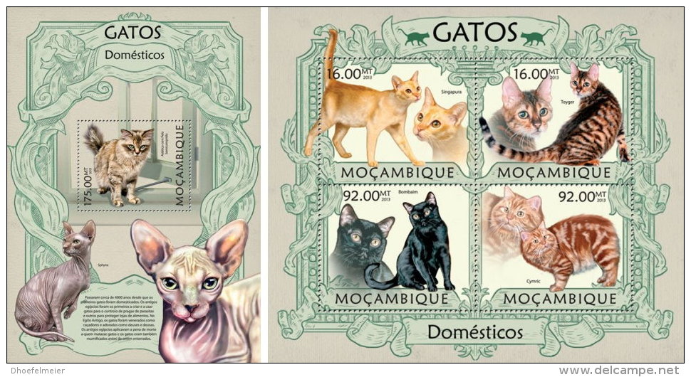 MOZAMBIQUE 2013 ** M/S + S/S Cats Katzen A1326 - Gatti