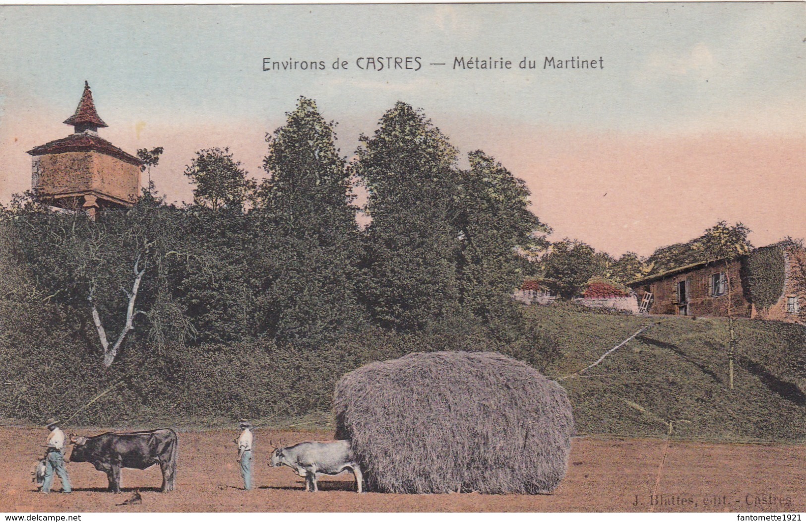 METAIRIE DU MARTINET/ATTELAGE DE BOEUF ENVIRONS DE CASTRES (chloé1) - Attelages