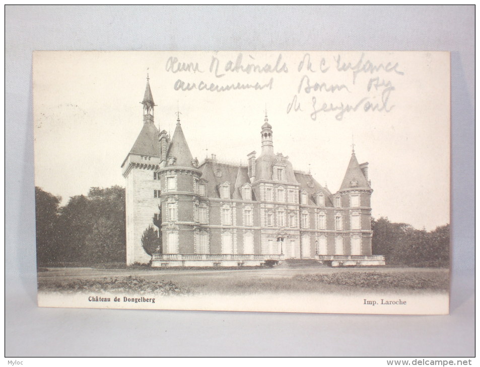 Jodoigne. Château De Dongelberg. 1903 - Jodoigne