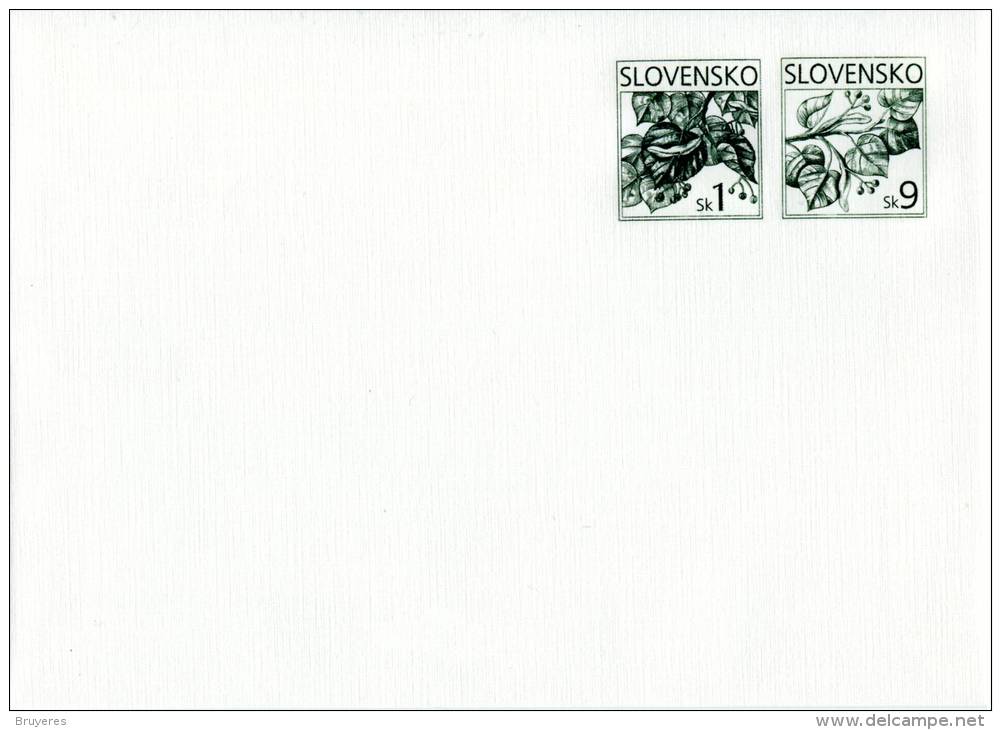 Entier Postal De 2007 Sur Enveloppe Illustrée - Enveloppes