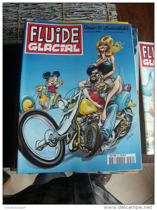 FLUIDE GLACIAL  N°252 - Fluide Glacial