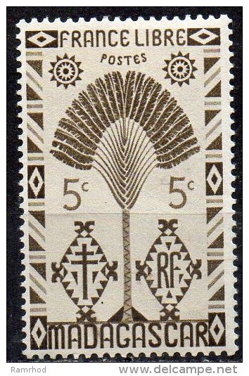 MADAGASCAR 1943 Travellers Tree - 5c. - Brown . MH - Neufs