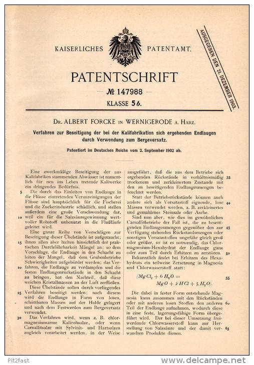 Original Patentschrift - Dr. A. Forcke In Wernigerode A. Harz , 1902 , Kali - Fabrikation , Beseitigung Von Endlaugen - Historische Dokumente