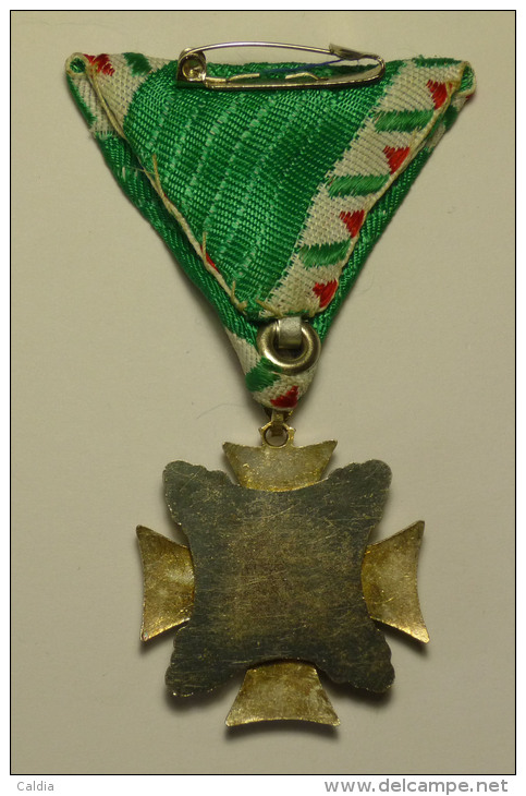 Hongrie Hungary Ungarn  Médaille 1996 "" NCO´s Service Medal I " Silver & Gold Plated RARE ! Original Box - Autres & Non Classés