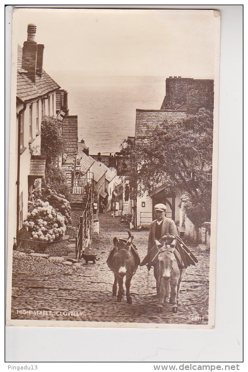 High Street Clovelly âne Ane - Clovelly