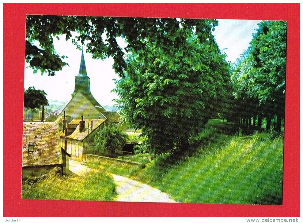 CERISIERS ( Yonne)  Vue Sur L´Église Et Les Promenades - Cerisiers