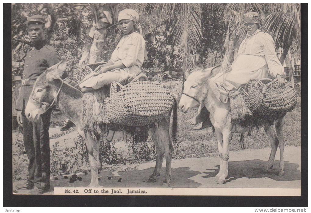 Jamaica 1930's (?) Jamaica B & W Picture Post Card Used In Transit Panama Canal Christabel To USA - Jamaica (...-1961)