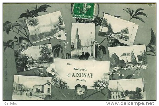 85 Souvenir D'AIZENAY Multivues - Aizenay