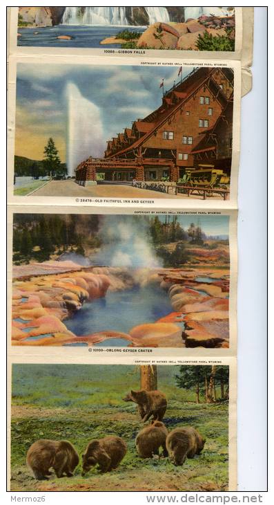 Yellowstone National Park Souvenir Haynes A Park Bear Series D Carnet - USA National Parks