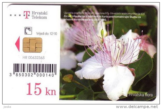 KAPAR - Capparis Spinosa (Croatia Chip Card ) Flora Flore Flower Fleur Flor Blume Fiore Bloem Flowers Fleurs Flors Fiori - Blumen