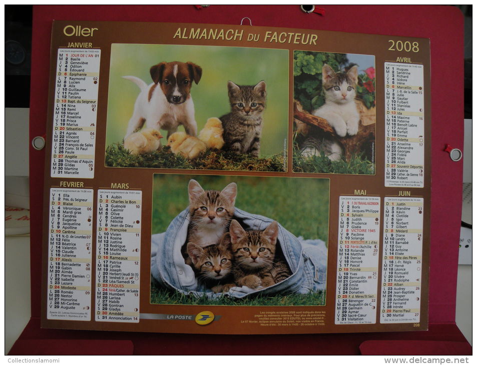 Petit Chat, Chien Et Poussin , Calendrier Almanach Du Facteur - Oller - 2008 - 2 Photos - Grand Format : 2001-...