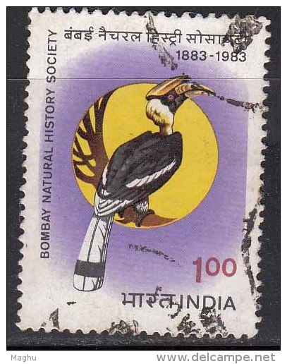 Used 1983, Bombay Natural History Society, Bird Great Indian Hornbill,  (sample Image) - Other & Unclassified