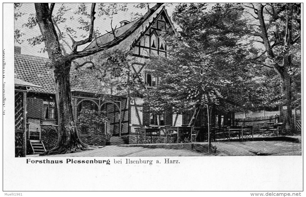 AK  Forsthaus Plessenburg Bei Ilsenburg Am Harz, Ungel. Um 1915 - Ilsenburg