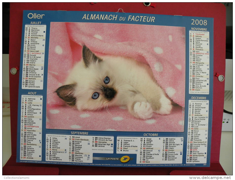 Chien / Chat , Calendrier Almanach Du Facteur - Oller - 2008 - 2 Photos - Grand Format : 2001-...