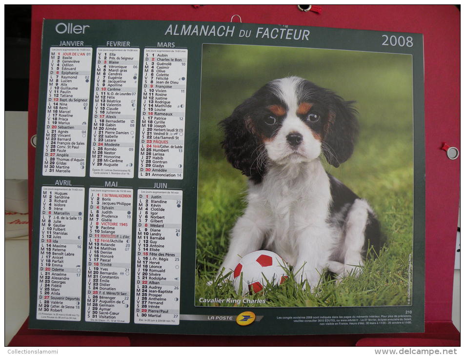 Cavalier King Charles / Westy , Calendrier Almanach Du Facteur - Oller - 2008 - 2 Photos - Grand Format : 2001-...