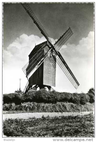 MEULEBEKE (W.Vl.) - Molen/moulin - Oudere Zwart-wit Kaart Van De Verdwenen Bosterhoutmolen (ca. 1960) - Meulebeke