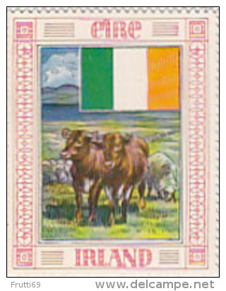 SB00604  Birkel-Nudel-Werke - Länder Und Flaggen - 35. Irland - Autres & Non Classés