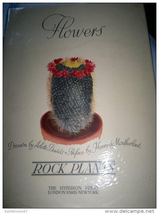 FLOWERS ROCK PLANTS - Cultural