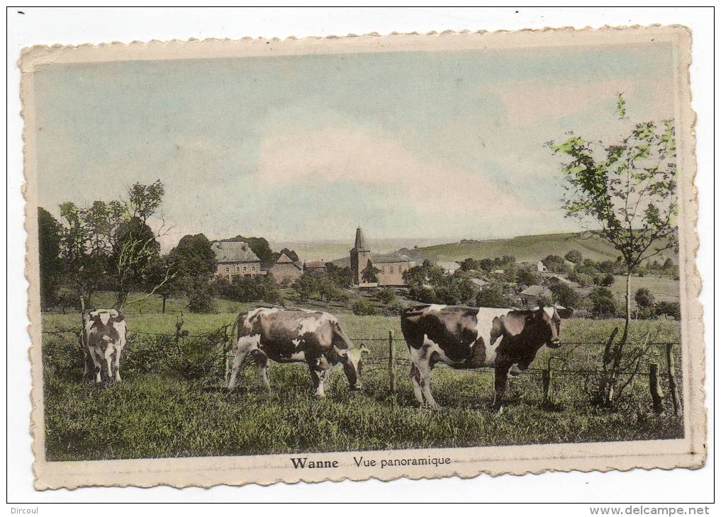 24829  -   Wanne  Trois-Ponts   Vue Panoramique  "  Vaches " - Trois-Ponts