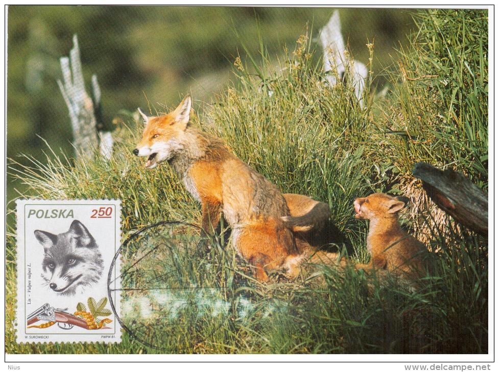 Poland 1982 Fox Fuchs Fauna, Canceled In Zakopane Animal - Cartes Maximum